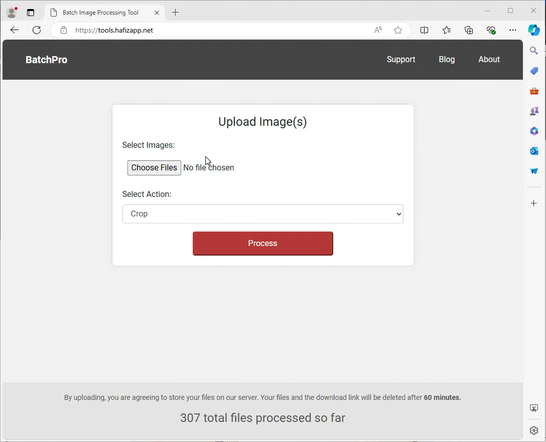 Bulk image processing tool
