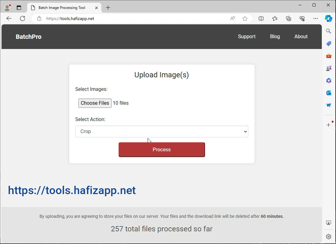Bulk image resizer tool